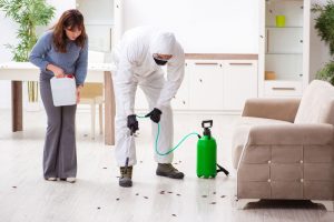 Pest Control Service | destroy Pest Management
