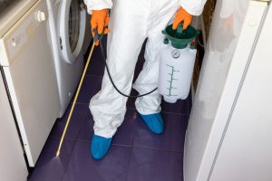 Residential Pest Control | destroy Pest Management